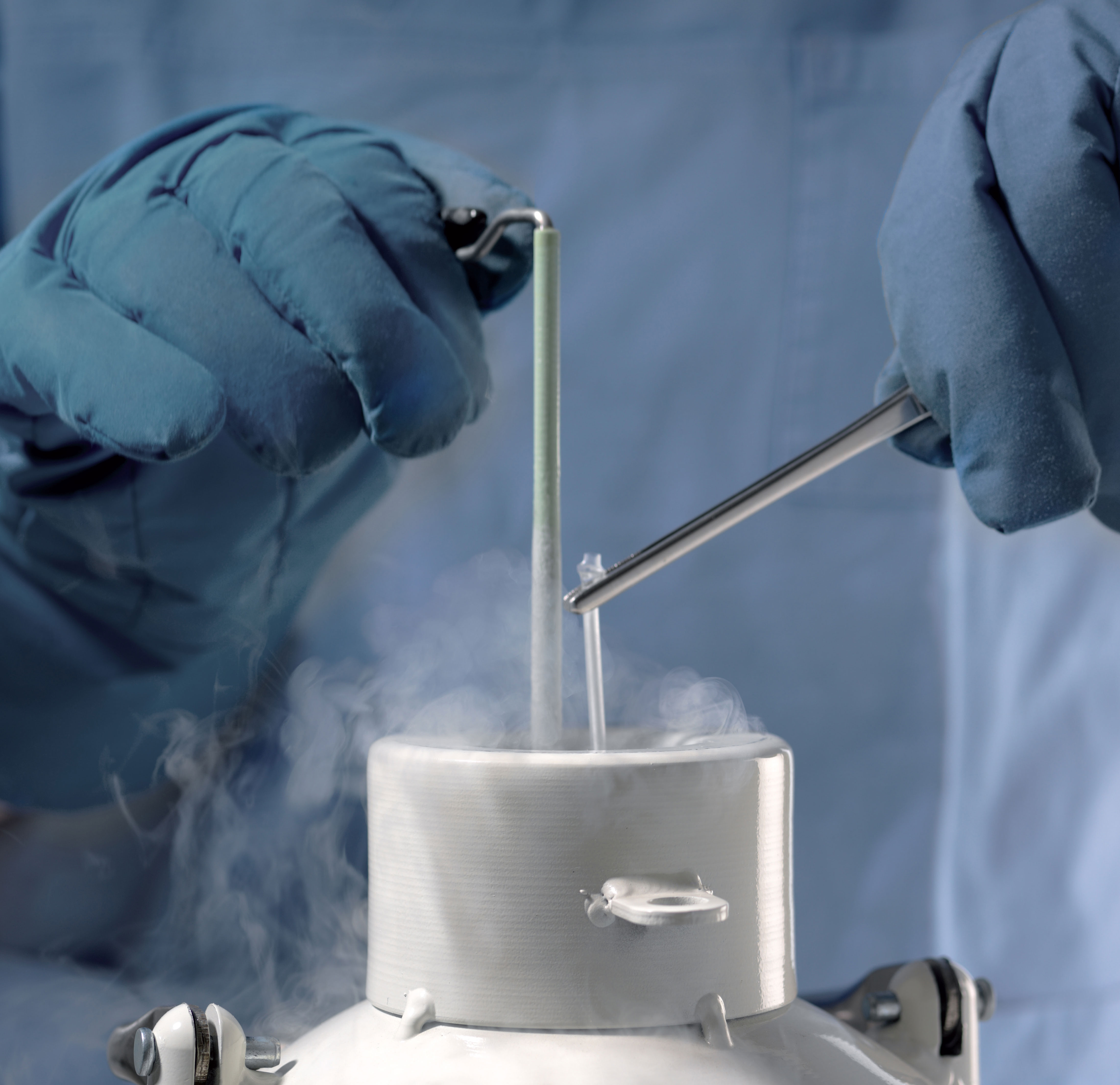 Picture showing how a hermetically sealed cryogenic straw is placed in a storage tank containing liquid nitrogen │ © 2022 Next Fertility IVF Prof. Zech • Member of Next Clinics